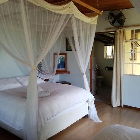 Bushwhacked Barberton Hotel Ruang foto