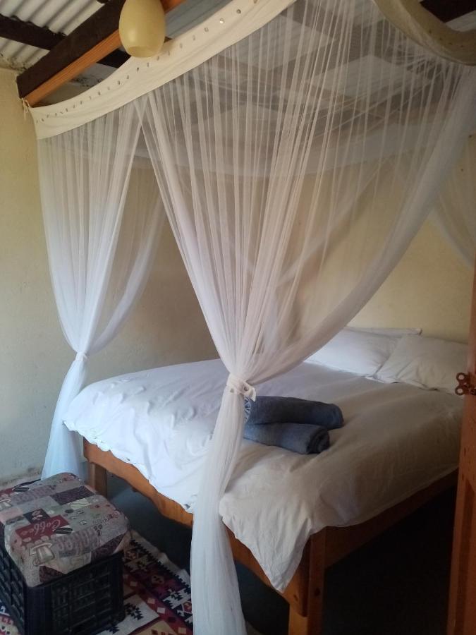 Bushwhacked Barberton Hotel Bagian luar foto