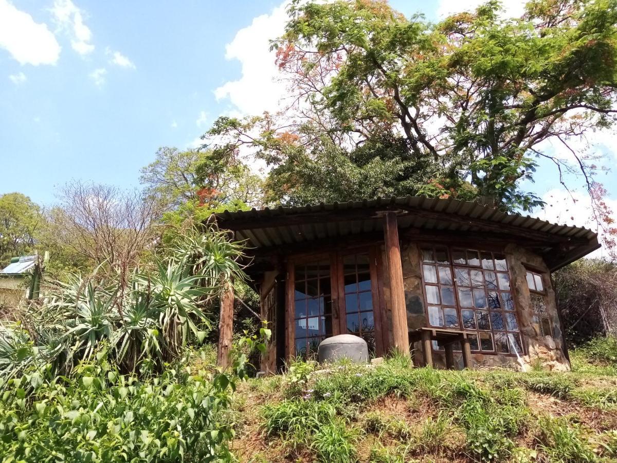 Bushwhacked Barberton Hotel Bagian luar foto