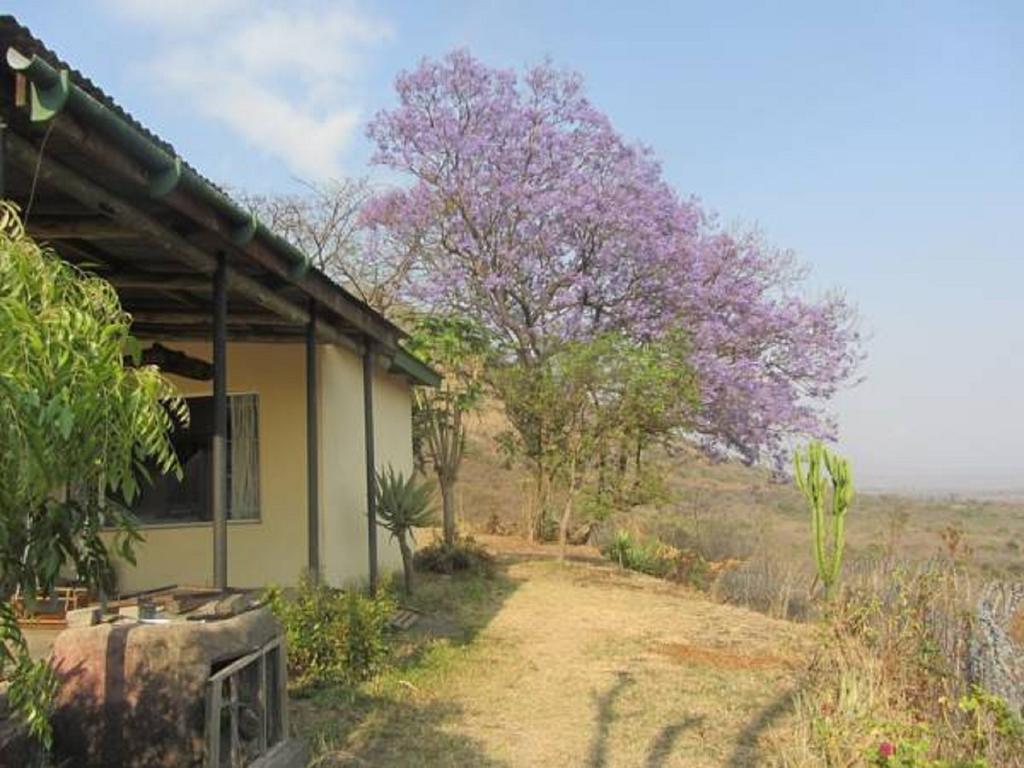 Bushwhacked Barberton Hotel Bagian luar foto