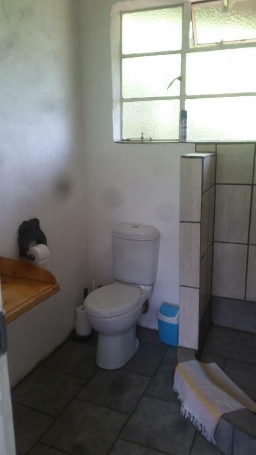 Bushwhacked Barberton Hotel Bagian luar foto